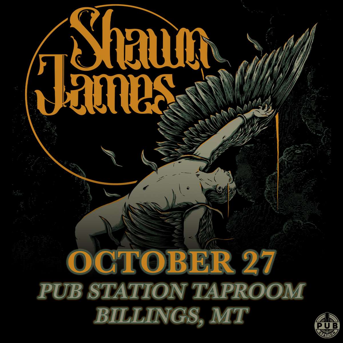SHAWN JAMES “FLEW TOO CLOSE TO THE SUN TOUR”